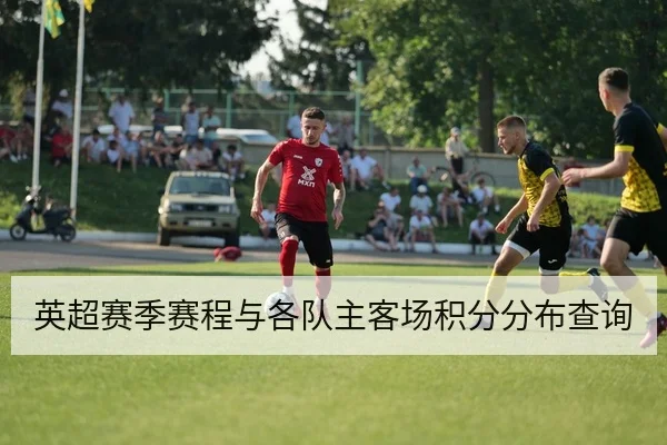 英超赛季赛程与各队主客场积分分布查询