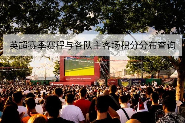 英超赛季赛程与各队主客场积分分布查询